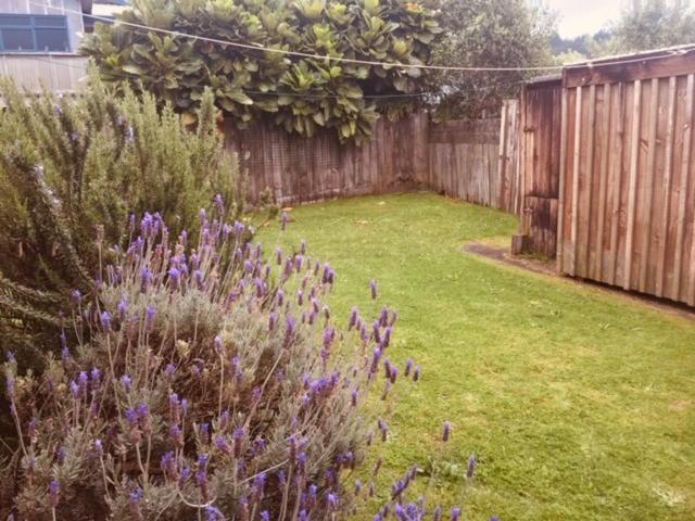 Mollies Place - Waihi Beach Holiday Unit المظهر الخارجي الصورة